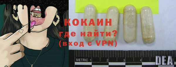 твердый Михайловск