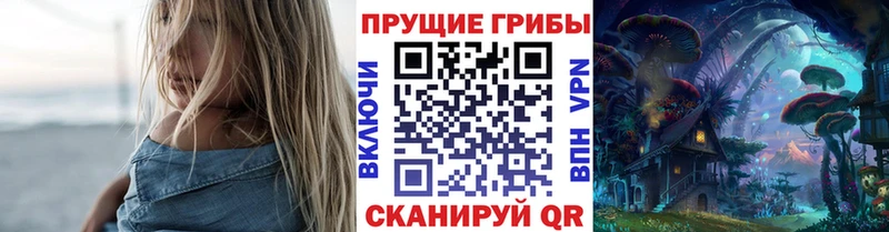 Псилоцибиновые грибы Psilocybine cubensis  Череповец 